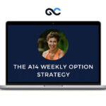 Aeromir - The A14 Weekly Option Strategy Workshop