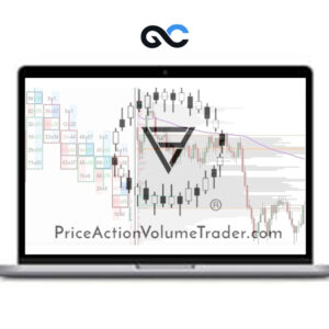 Price Action Volume Trader - Day Trading With Volume Profile and Orderflow