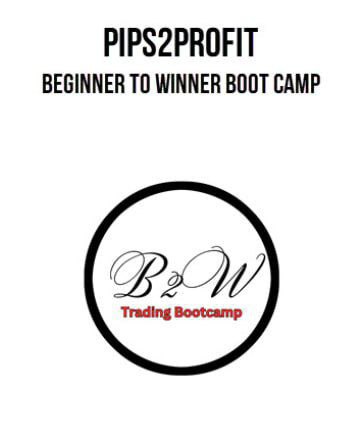 Pips2Profit – Beginner To Winner Boot Camp