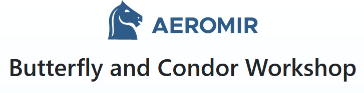 Aeromir - Butterfly and Condor Workshop