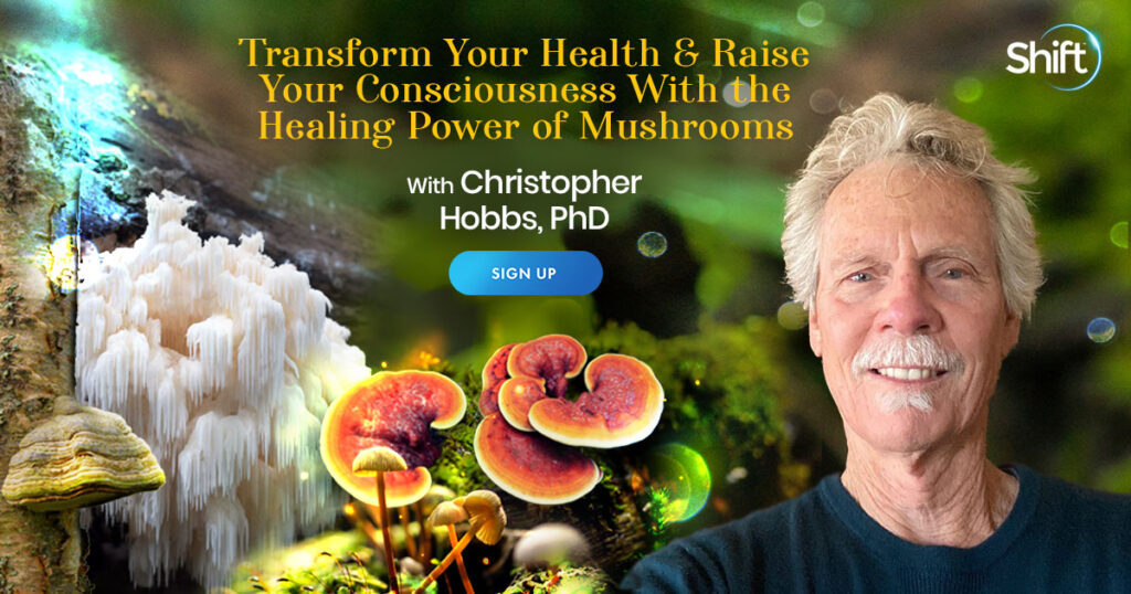 Transform Your Health & Raise Your Consciousness With the Healing Power of Mushrooms - Christopher Hobbs