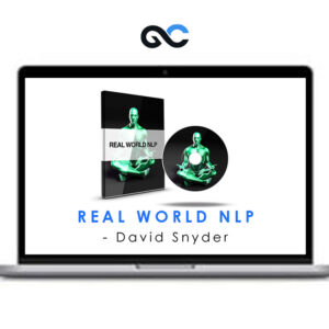 David Snyder - Real World NLP