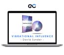 David Synder - Vibrational Influence