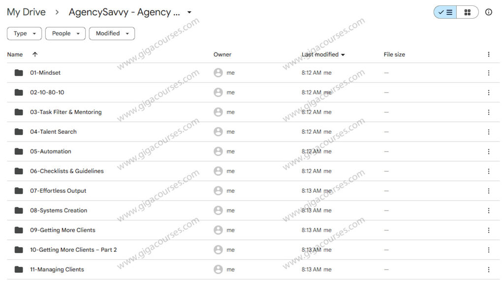 AgencySavvy - Agency Owners Blueprint