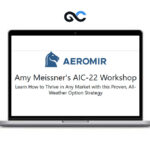 Aeromir - Amy Meissner's AIC-22 Workshop