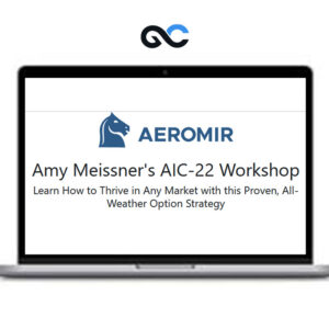 Aeromir - Amy Meissner's AIC-22 Workshop