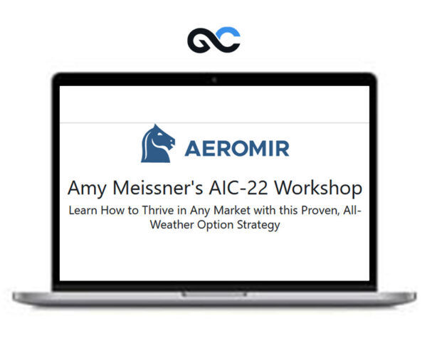 Aeromir - Amy Meissner's AIC-22 Workshop