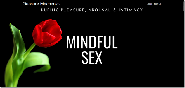 Pleasure Mechanics - Mindful Sex