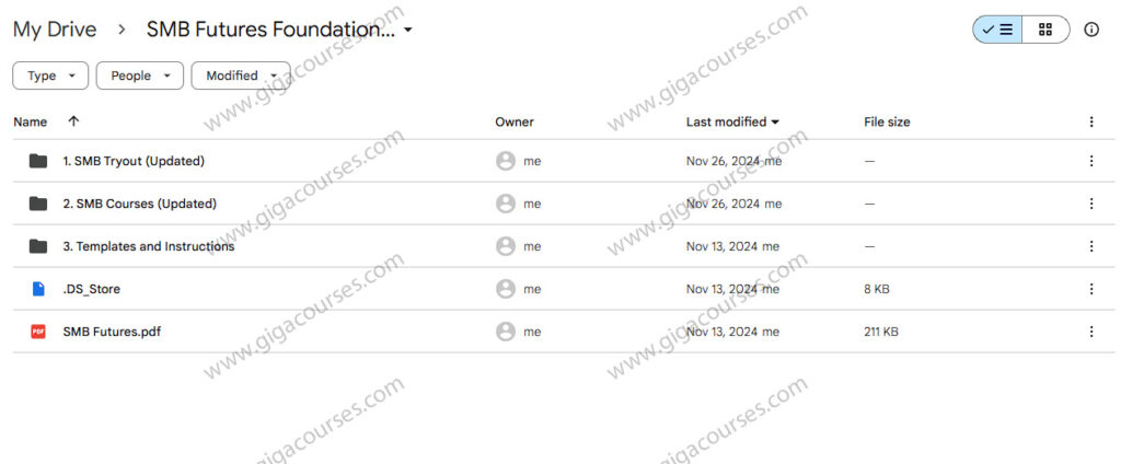 SMB Futures Foundation Program v 2.0