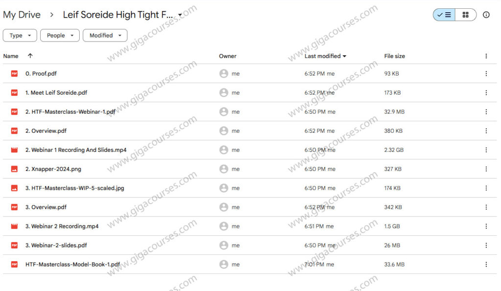 TraderLion - Leif Soreide High Tight Flag Masterclass