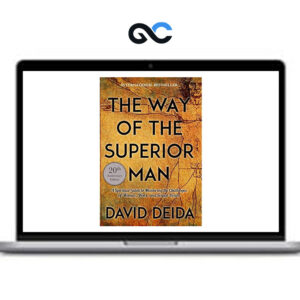 David Deida - Superior Man Online Program