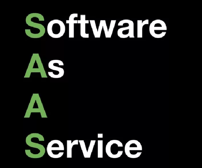 Matt C Milne – The Savvy SAAS System