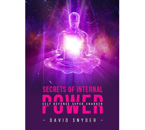 David Snyder - Secrets of Internal Power – Self Defense Supercharge