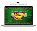 Magnum Opus 8-Figure year Lance Bernstein Trader Course