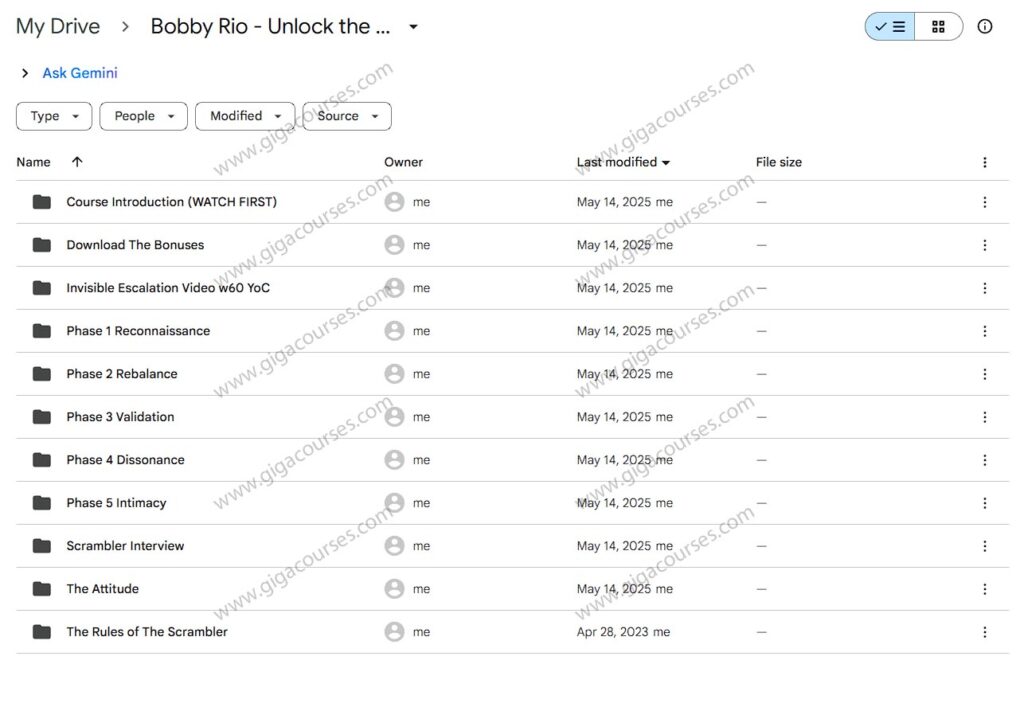 Bobby Rio - Unlock the Scrambler System