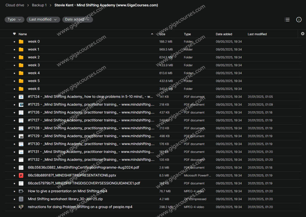 Stevie Kent - Mind Shifting Academy