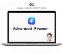 Dan Hollick - Advanced Framer