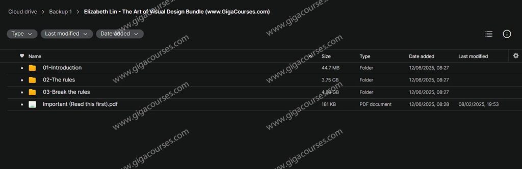 Elizabeth Lin - The Art of Visual Design Bundle