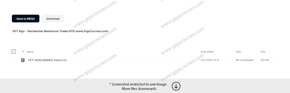 HFT Algo – Warhammer Momentum Trades​ NT8