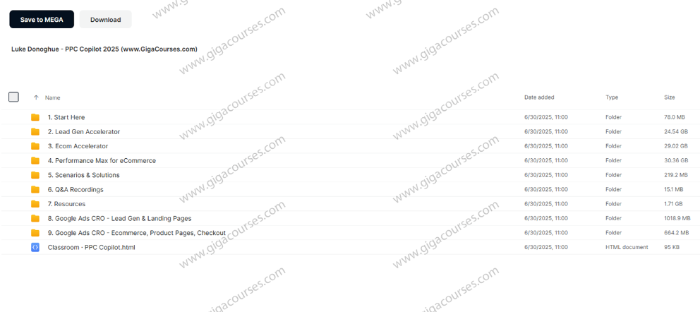 Luke Donoghue - PPC Copilot 2025