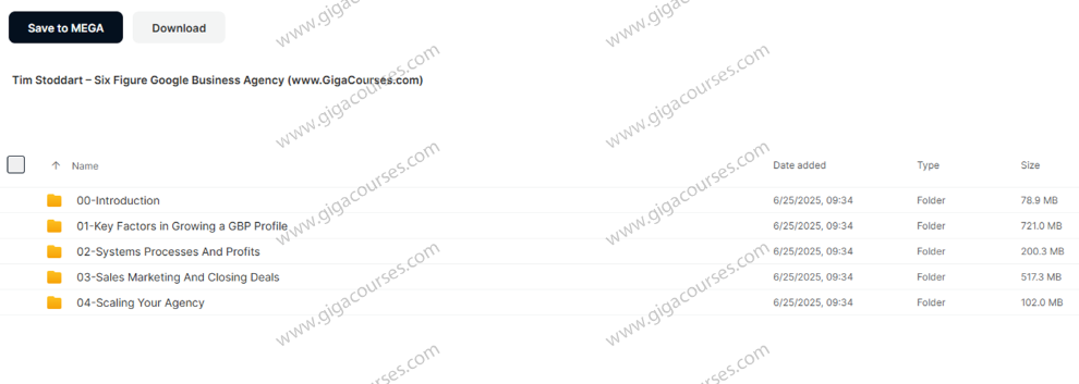 Tim Stoddart – Six Figure Google Business Agency