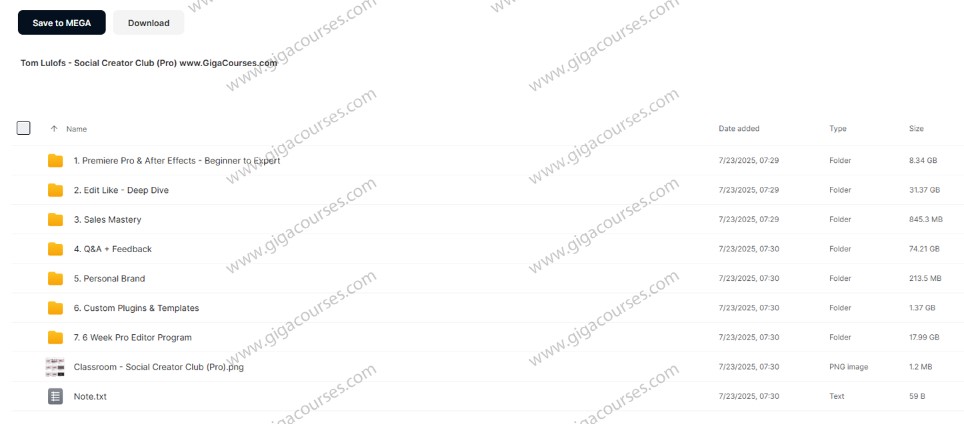 Tom Lulofs - Social Creator Club (Pro)