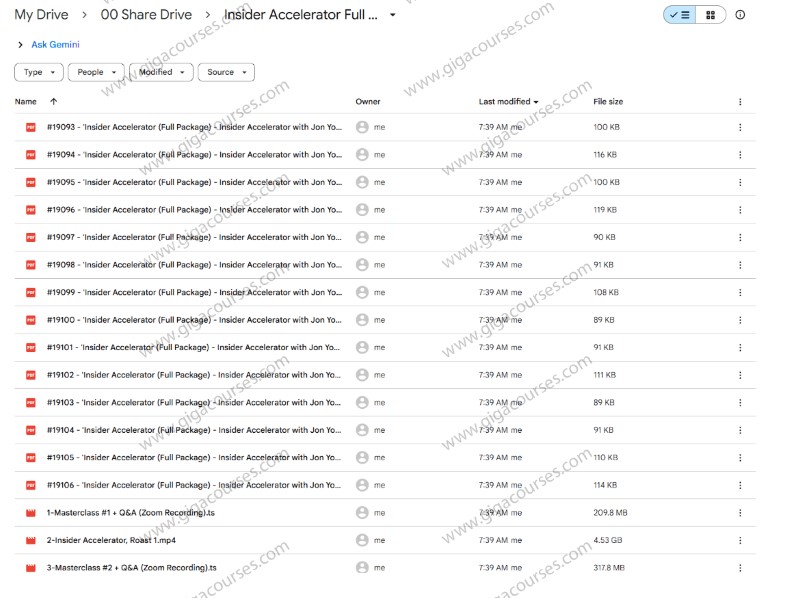 Insider Accelerator Full Package by Jon Youshaei