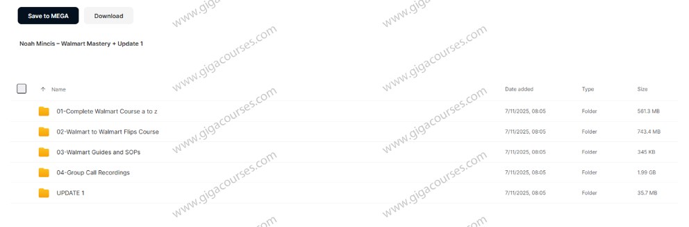 Noah Mincis – Walmart Mastery + Update 1