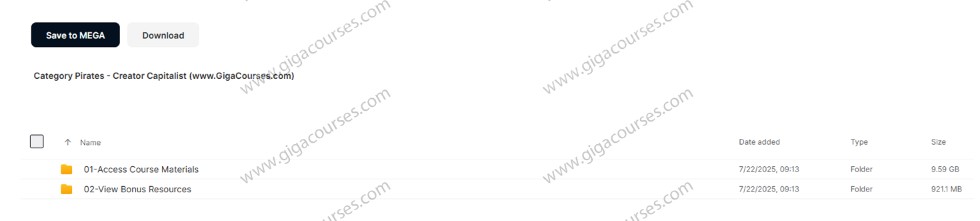 Category Pirates - Creator Capitalist