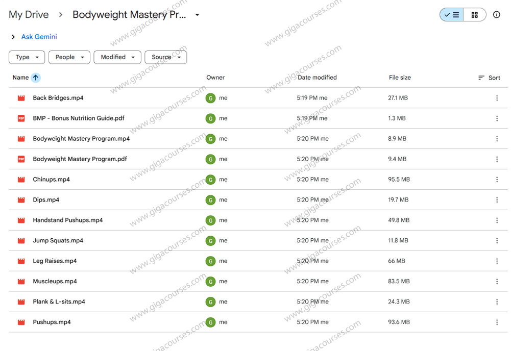 Bodyweight Mastery Program - Gregory O Gallagher