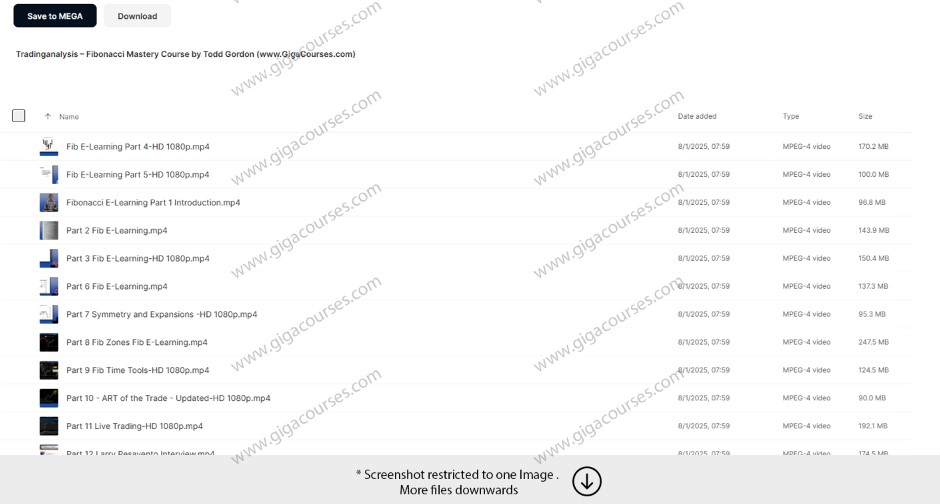 Tradinganalysis – Fibonacci Mastery Course by Todd Gordon