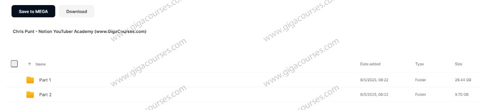 Chris Punt - Notion YouTuber Academy