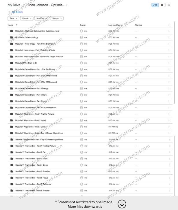 Brian Johnson – Optimize Coach