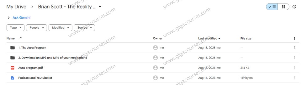 Brian Scott - The Reality Revolution The Aura Program