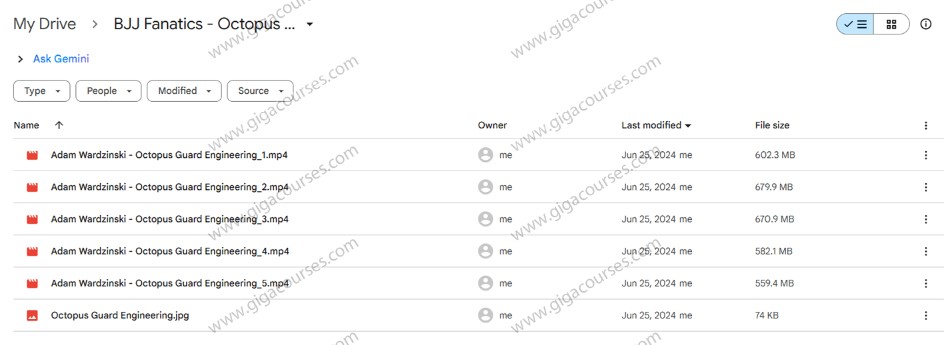 BJJ Fanatics - Octopus Guard Engineering