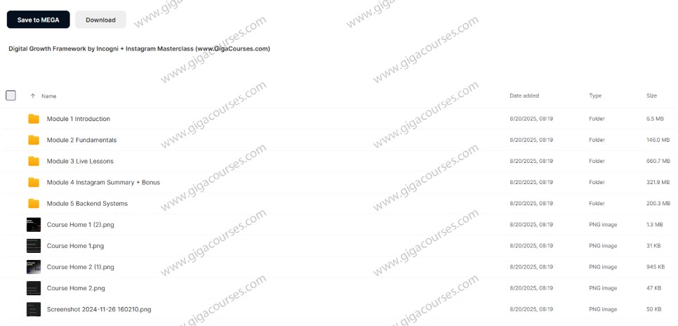 Digital Growth Framework by Incogni + Instagram Masterclass