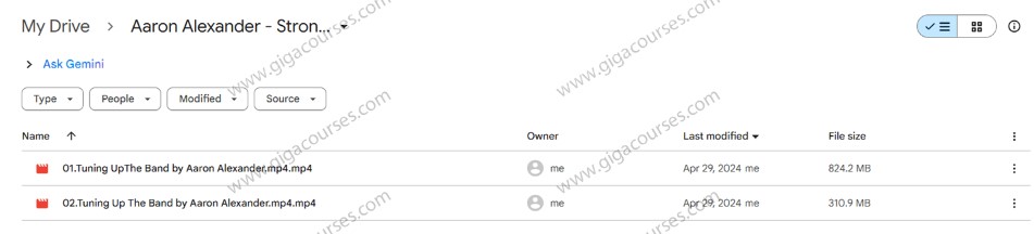 Aaron Alexander - Strong Fit - Band Based Mobility Program