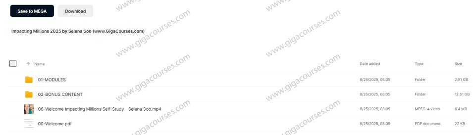 Impacting Millions 2025 by Selena Soo