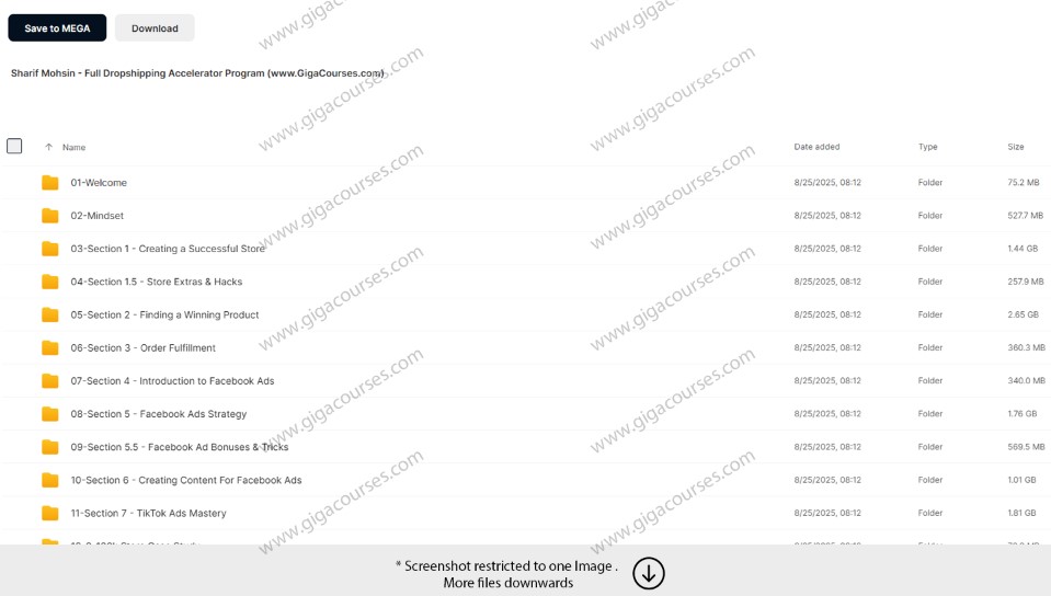 Sharif Mohsin - Full Dropshipping Accelerator Program 