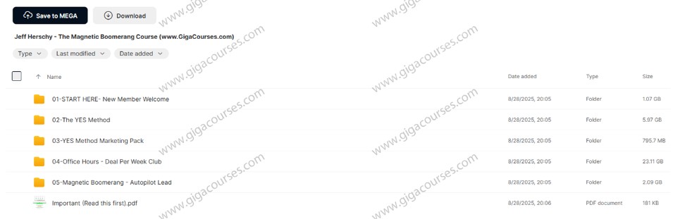 Jeff Herschy - The Magnetic Boomerang Course