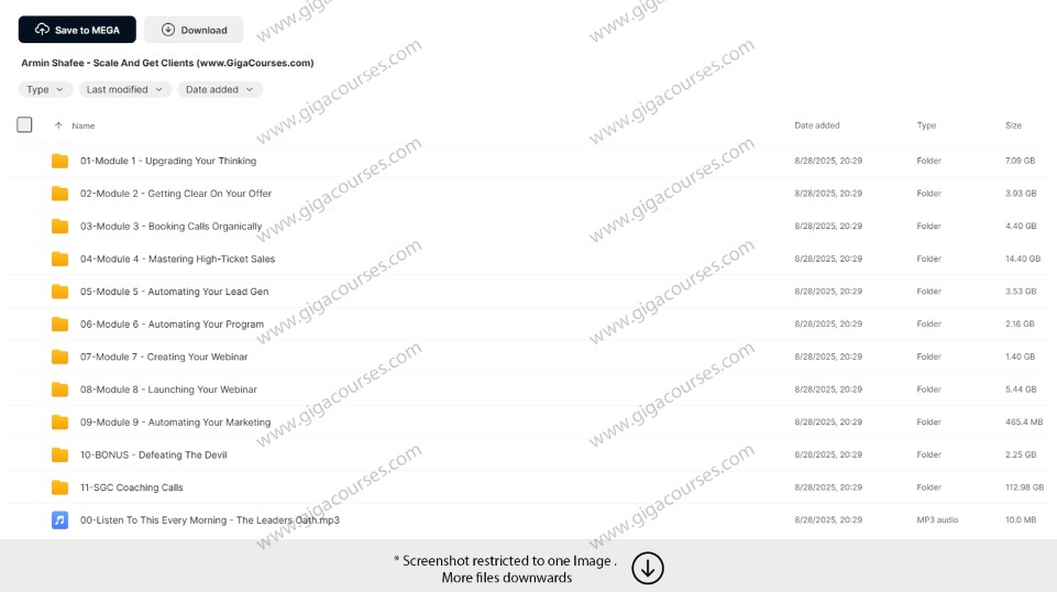 Armin Shafee - Scale And Get Clients