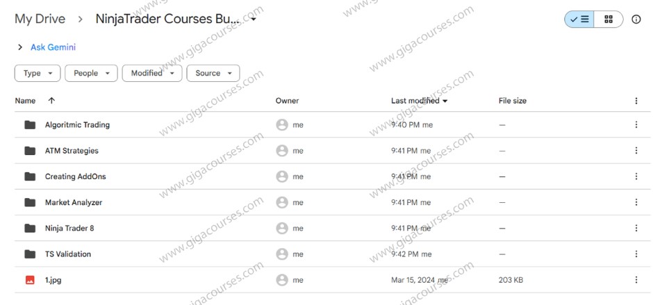 NinjaTrader Courses Bundle 6 courses
