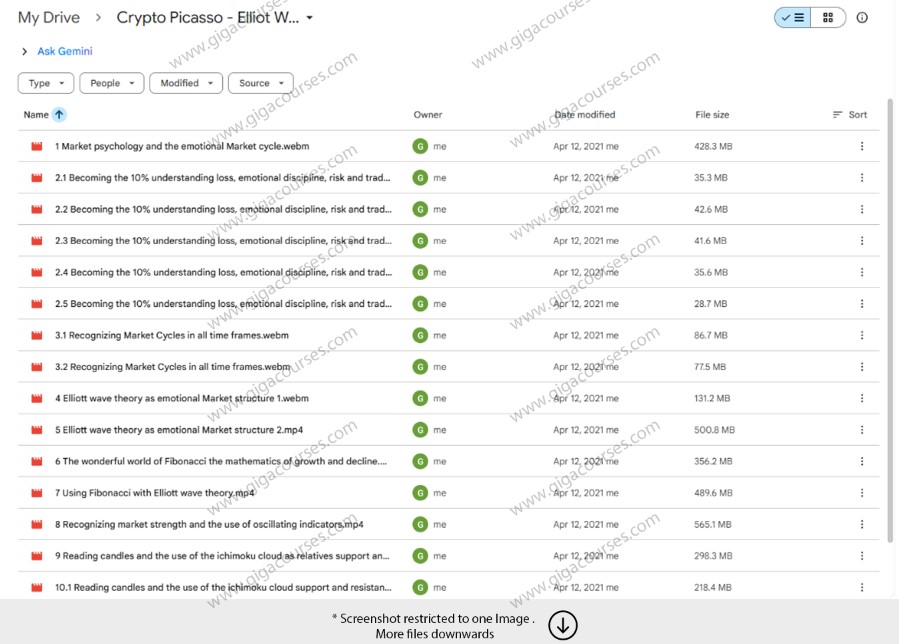 Crypto Picasso - Elliot Wave Market Psychology Course