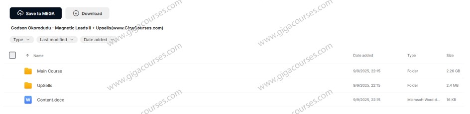 Godson Okorodudu – Magnetic Leads II + Upsells