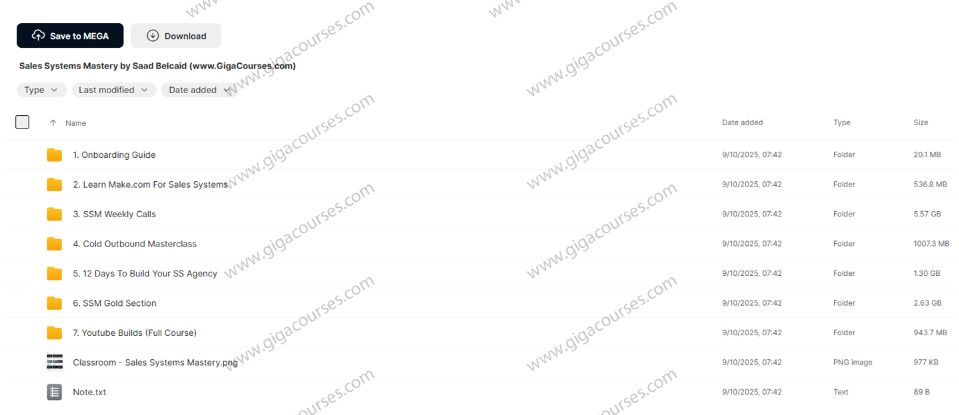 Sales Systems Mastery by Saad Belcaid