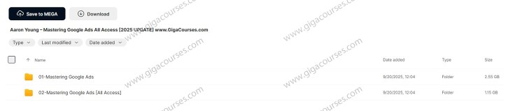 Aaron Young – Mastering Google Ads All Access [2025 UPDATE]