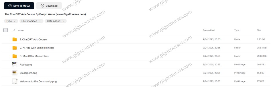 The ChatGPT Ads Course By Evelyn Weiss