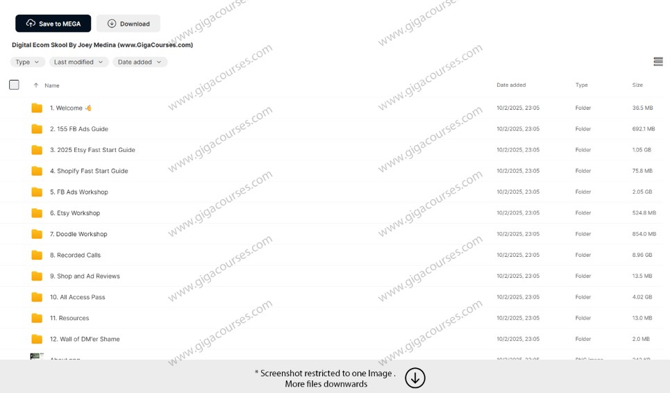 Digital Ecom Skool By Joey Medina