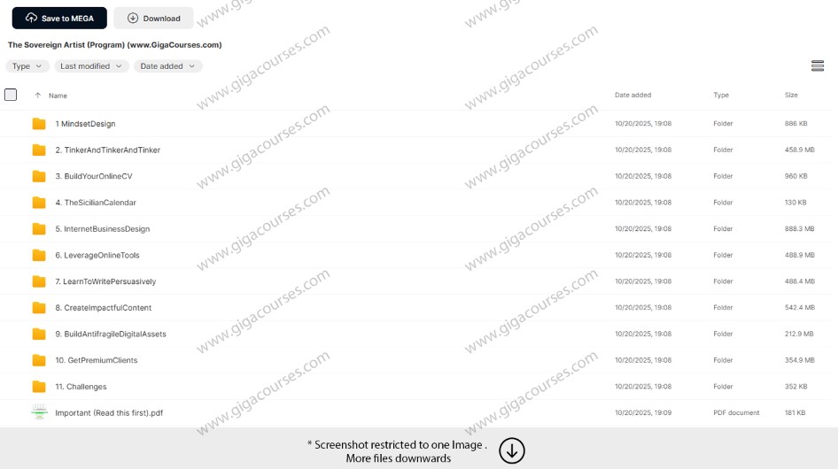 The Sovereign Artist (Program)