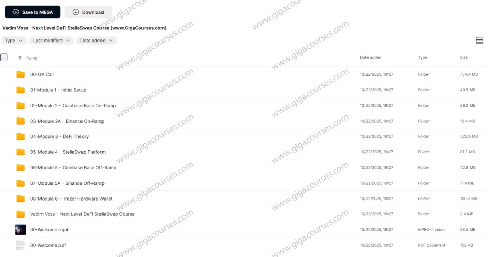 Vadim Voss - Next Level DeFi StellaSwap Course